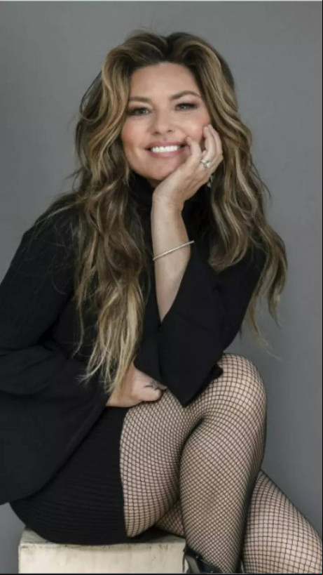 Brief Low Down On Shania Twain S Divorce Vamaindia